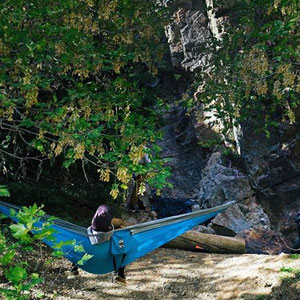 Browon Hammock